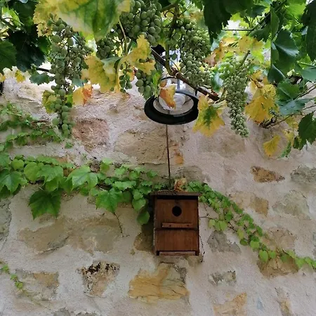Casa Apartment Siguenza