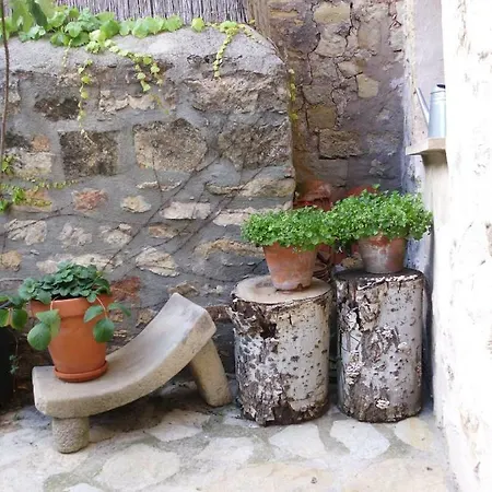 Apartment Casa *
